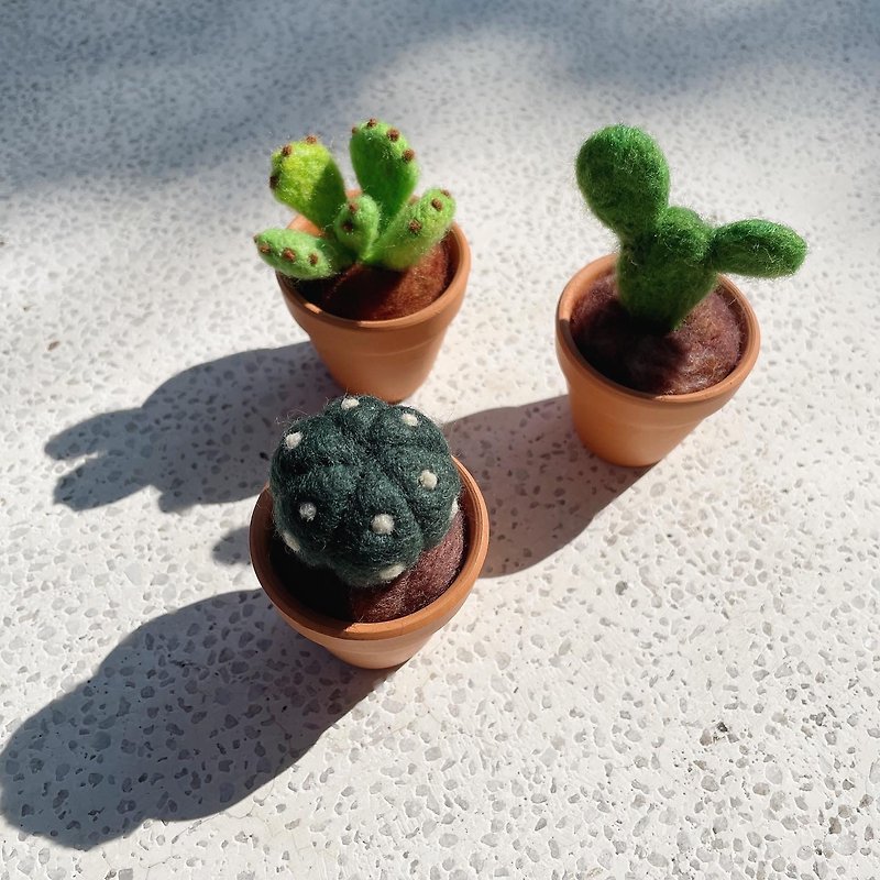 Succulents cactus. Wool felt decorative potted plant - Items for Display - Wool Multicolor