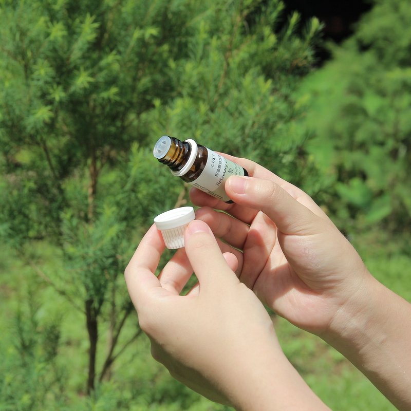 精油組合 - 藥草與森林香 (雨林、芬多) 贈擴香木、精油瓶 - 香氛/精油/擴香 - 精油 咖啡色