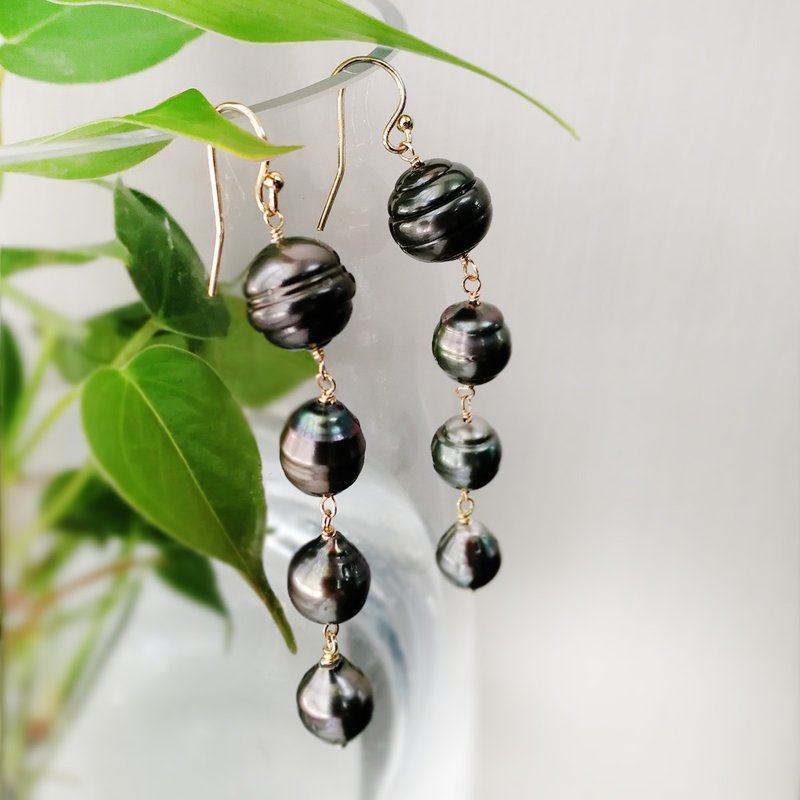 Comet-Tahitian Pearl with 14K gold filled hanging earring - Earrings & Clip-ons - Pearl Black