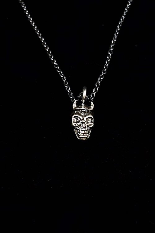 Homo sapiens .925 Silver necklace