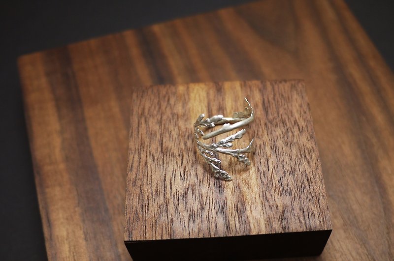 Silver Cypress Leaf - 925 Sterling Silver Ring - แหวนทั่วไป - โลหะ สีเงิน