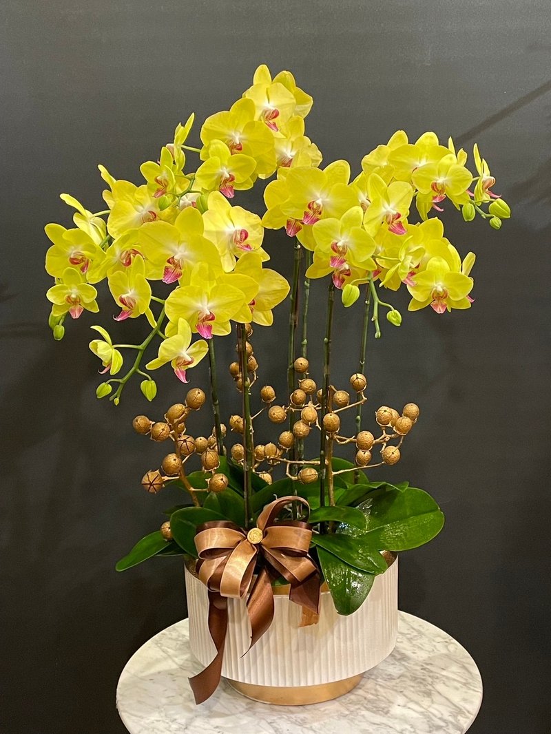 Yellow Flower Red Heart Phalaenopsis NEW YEAR-22 - Plants - Plants & Flowers 