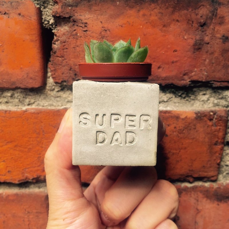 父親節禮物。Super Dad 超人爸爸。多肉磁鐵盆栽 - 植栽/盆栽 - 水泥 灰色