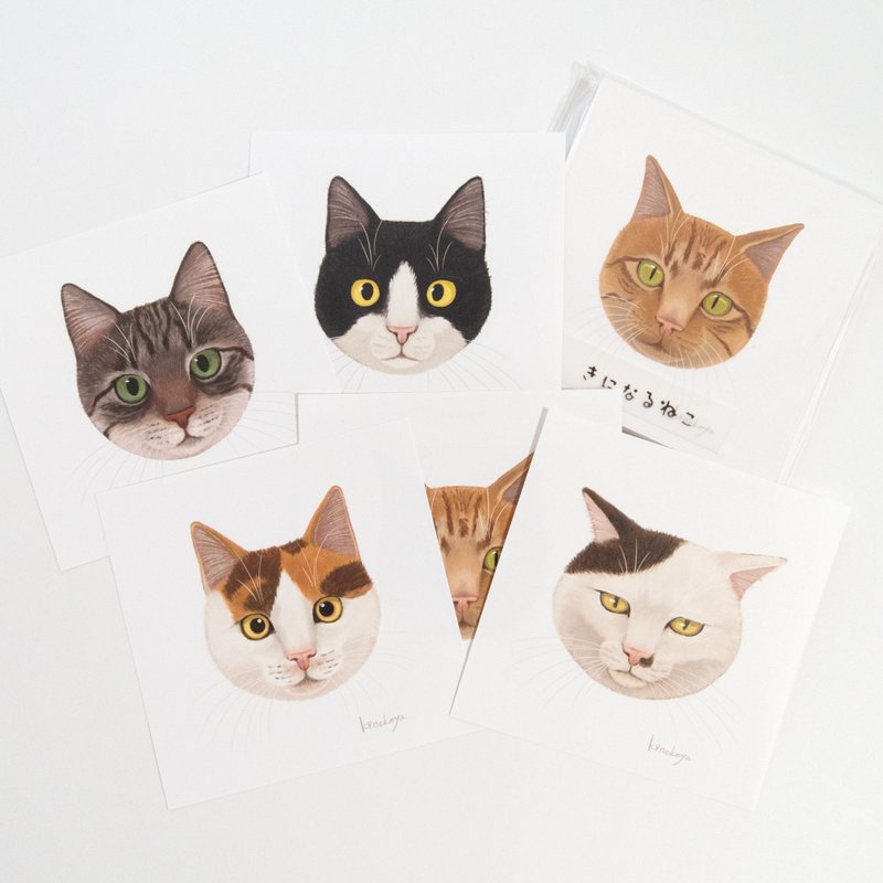 きになるねこ　メモ - 筆記本/手帳 - 紙 白色