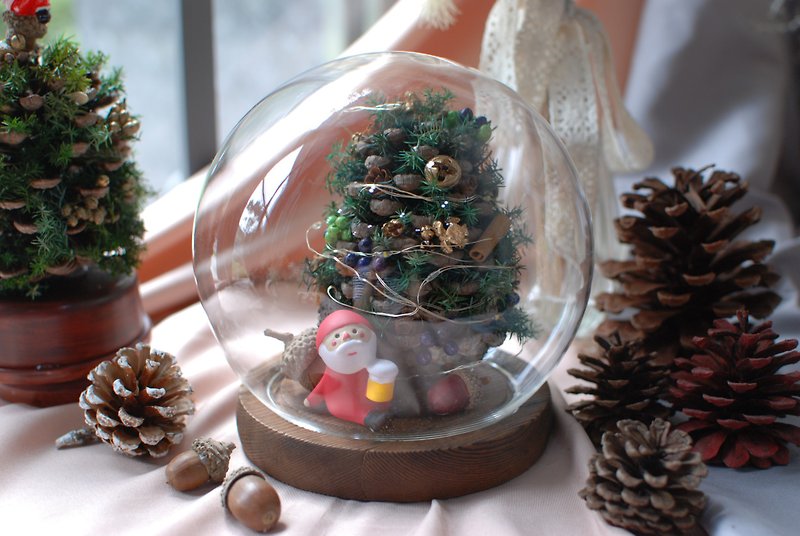 DIY 水晶球松果聖誕樹 - 乾燥花/永生花 - 植物．花 