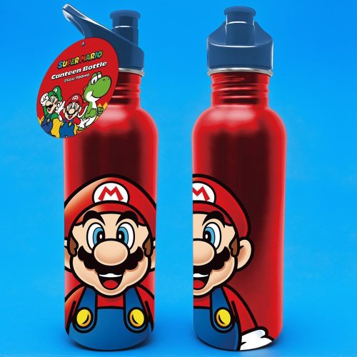 Pyramid UK Official Nintendo Super Mario Bros Metallic Bottle,700mL