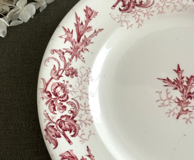 フランス食器　アンティーク LONGWY ディナープレート　22cm Longwy – RedQueenCastle