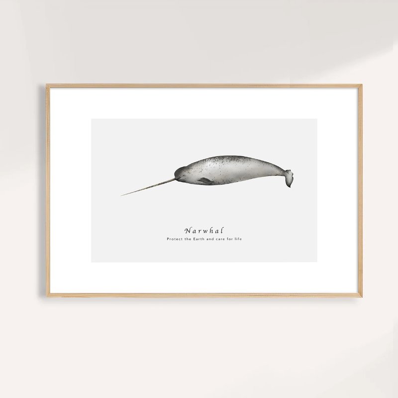 獨角鯨 Narwhal / 海洋動物插畫掛畫 / 藝術無框輸出 - 海報/掛畫/掛布 - 紙 