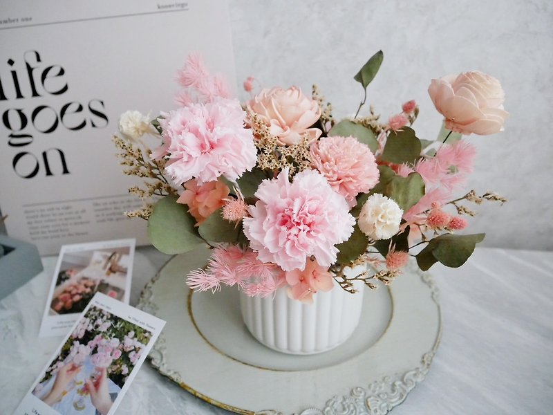 Medium and large potted flowers in round pots [Non-withering carnation table flowers] Mother's Day gift - ตกแต่งต้นไม้ - พืช/ดอกไม้ สึชมพู