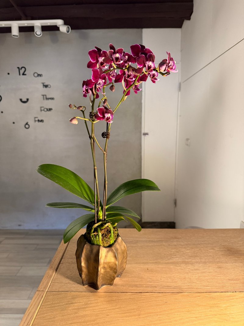 手びねり陶器の植木鉢・花器 - 観葉植物 - 陶器 