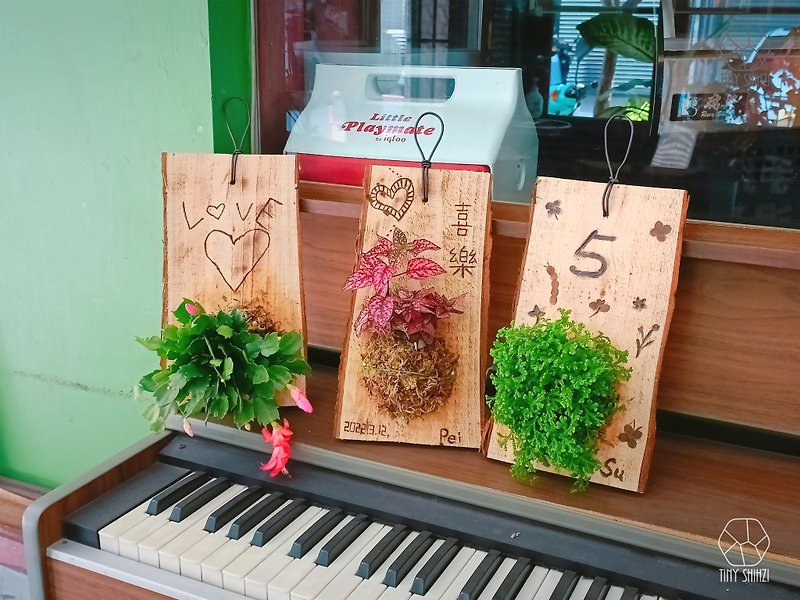 台南【綠上板】有溫度的卡片・手作生日禮物 - 植栽/花藝 - 植物．花 