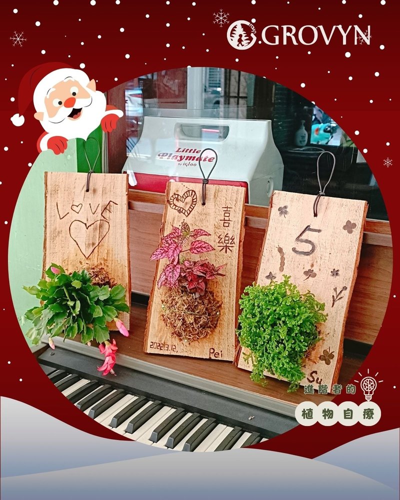 【綠上板】有溫度的植物卡片・用慢火與綠意烙印你的專屬故事 - 植栽/花藝 - 植物．花 