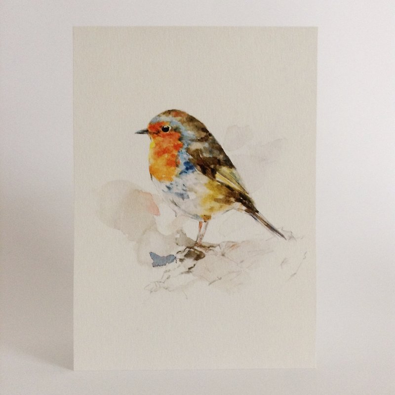 Bird ‧ postcard ‧0090 - การ์ด/โปสการ์ด - กระดาษ 