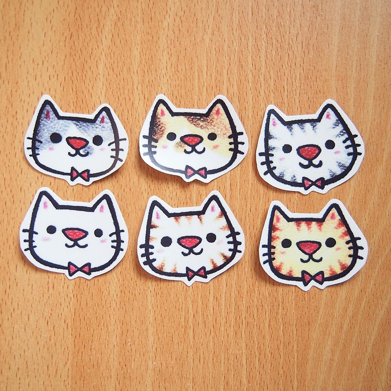 Waterproof Sticker Pack-Cat Photo Sticker (6pcs) - สติกเกอร์ - กระดาษ หลากหลายสี