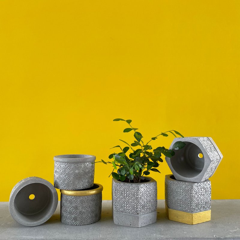 セメントレトロ小植木鉢収納ボックス - 花瓶・植木鉢 - コンクリート グレー