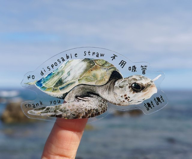 sea turtle straw｜TikTok Search