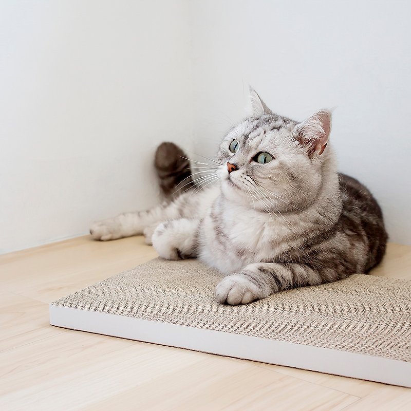 Cat Scratching Pad (2 Packs) - White - Scratchers & Cat Furniture - Paper White
