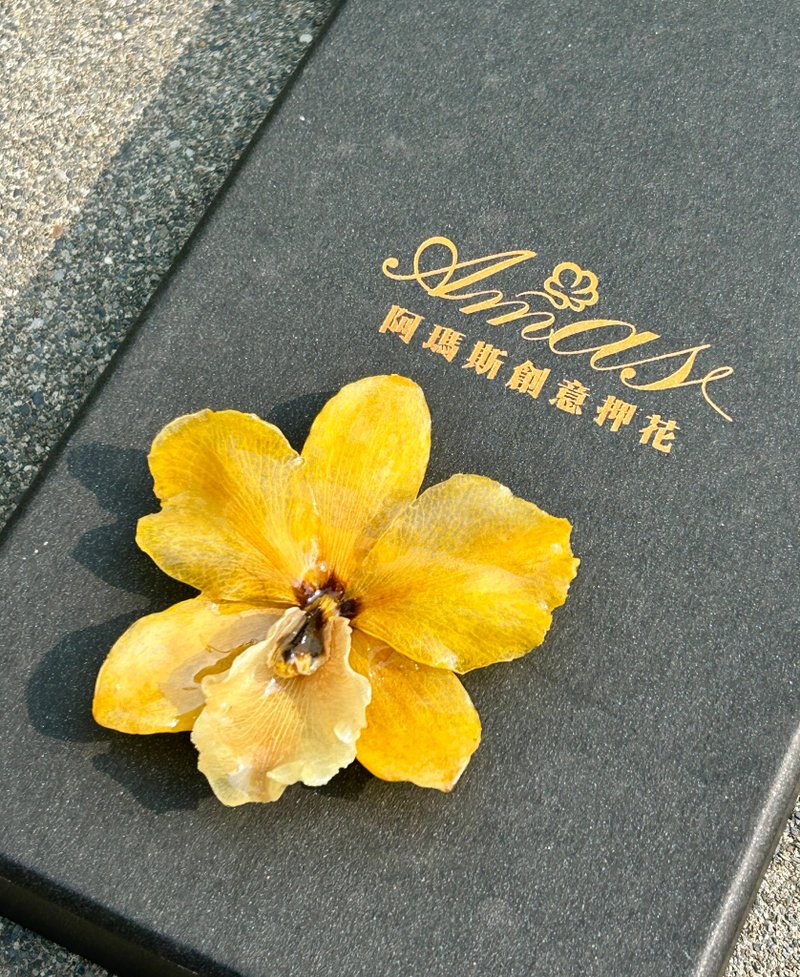 經典黃 嘉德麗亞蘭花胸針/真花飾品/蘭花飾品 - 胸針 - 植物．花 