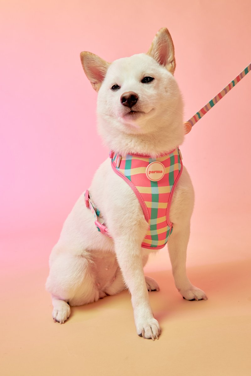 PERRY HARNESS SET with leash - Strawberry Afternoon (PINK) - 寵物衣服 - 其他材質 多色