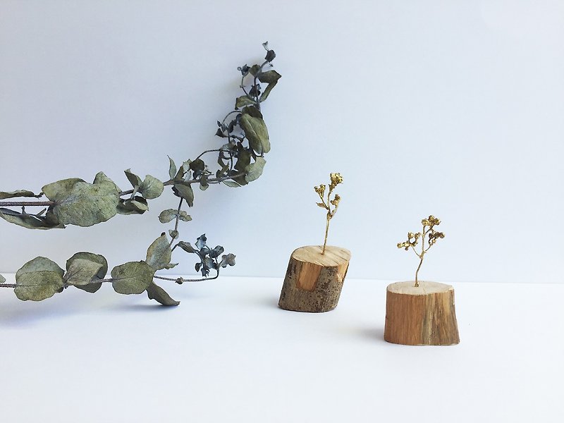 Little Botanic Garden (small) - Items for Display - Other Metals Yellow