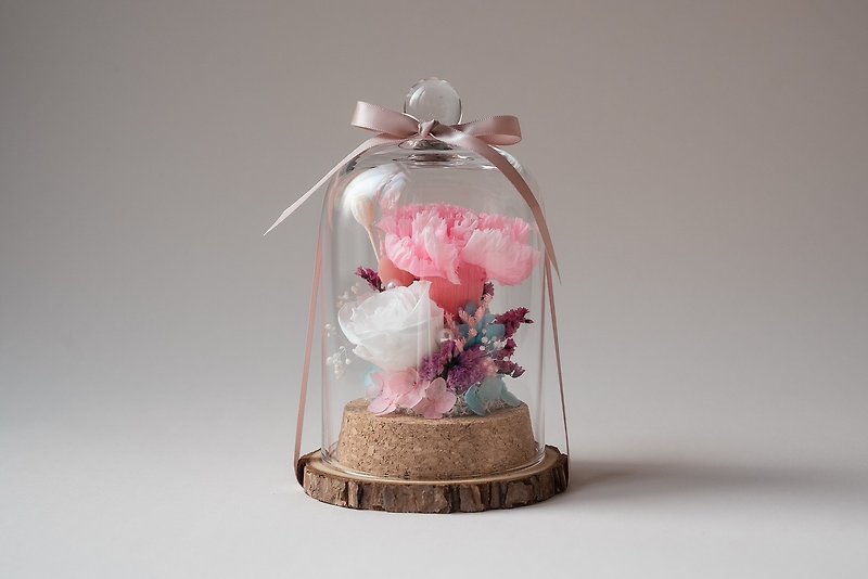 恆星鐘罩康乃馨-粉 - 乾燥花/永生花 - 植物．花 粉紅色