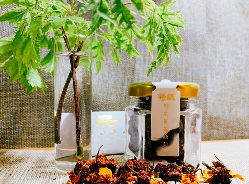 Yunyun Yipin [Superior Wild Kunlun Chrysanthemum] - Tea - Plants & Flowers Orange