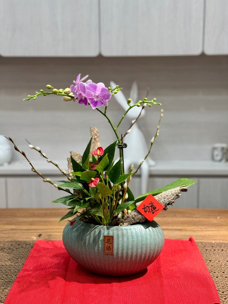 2025 New Year Orchids are only available for self-pickup in Taichung - Plants - Plants & Flowers Multicolor