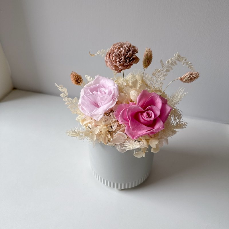 Pink everlasting diffuser potted flowers - Dried Flowers & Bouquets - Pottery Pink