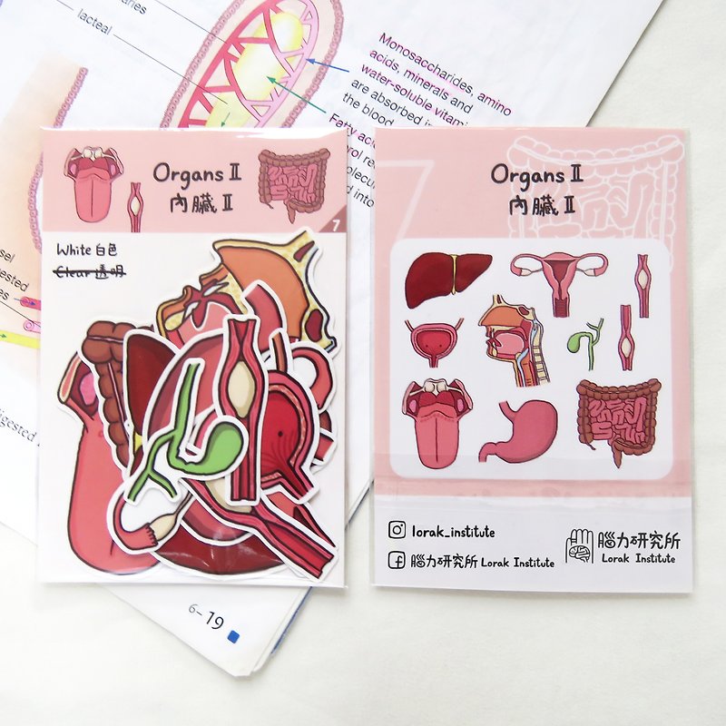 Organ internal organs sticker set (II) / 10 pieces / uterus, intestine, bladder, tongue, liver - Stickers - Paper Pink