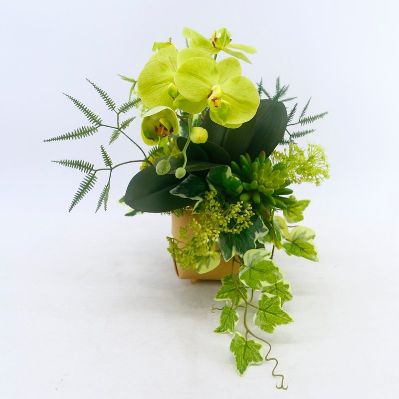 Dark Green Phalaenopsis Leather Basin Fragrance Flower Gift/Realistic Flower/Gift/Never Fading/Arrangement/Floral Arrangement - ตกแต่งต้นไม้ - วัสดุอื่นๆ 