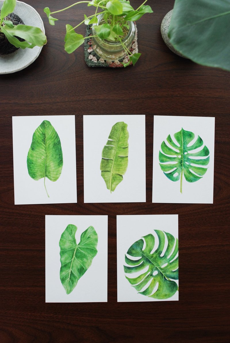 Silver-Yang hand-painted postcards || Fresh green leaves series - Cards & Postcards - Paper Green