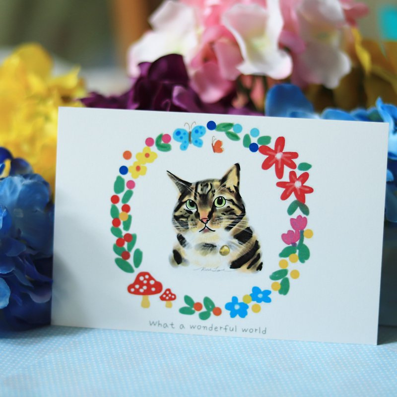 What a wonderful world- cat  Postcard - Cards & Postcards - Paper White