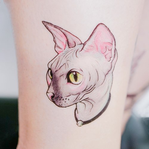 LAZYDUOエジプトの無毛猫タトゥータトゥーステッカー交響曲スフィンクス猫動物スフィンクス猫 - ショップ LAZY DUO TATTOO タトゥーシール  - Pinkoi