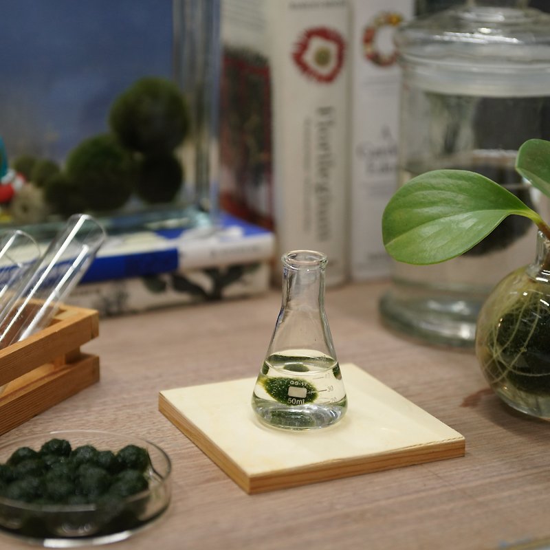 Little green men gift in flask - Plants - Glass Green