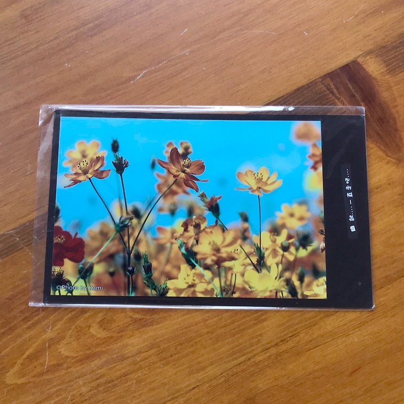 手作り限定ポストカード-FlowerLanguage3 / Taiwan Small Object Photography - カード・はがき - 紙 多色