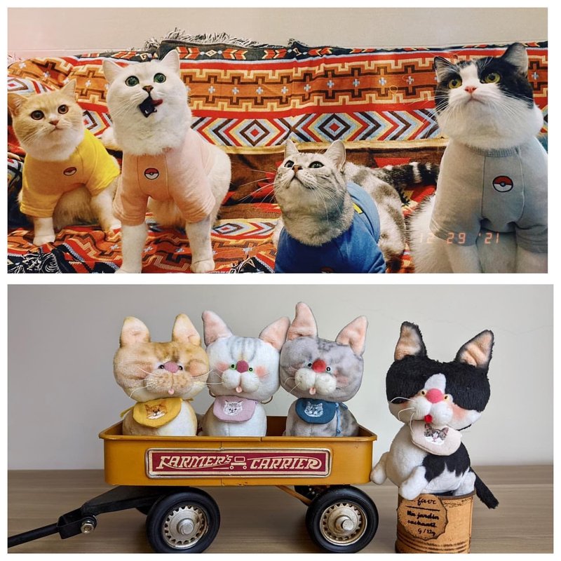 【Customized】Pet Custom Pet Commemorative Birthday Gifts Handmade Custom Handmade Dolls - Other - Cotton & Hemp Multicolor