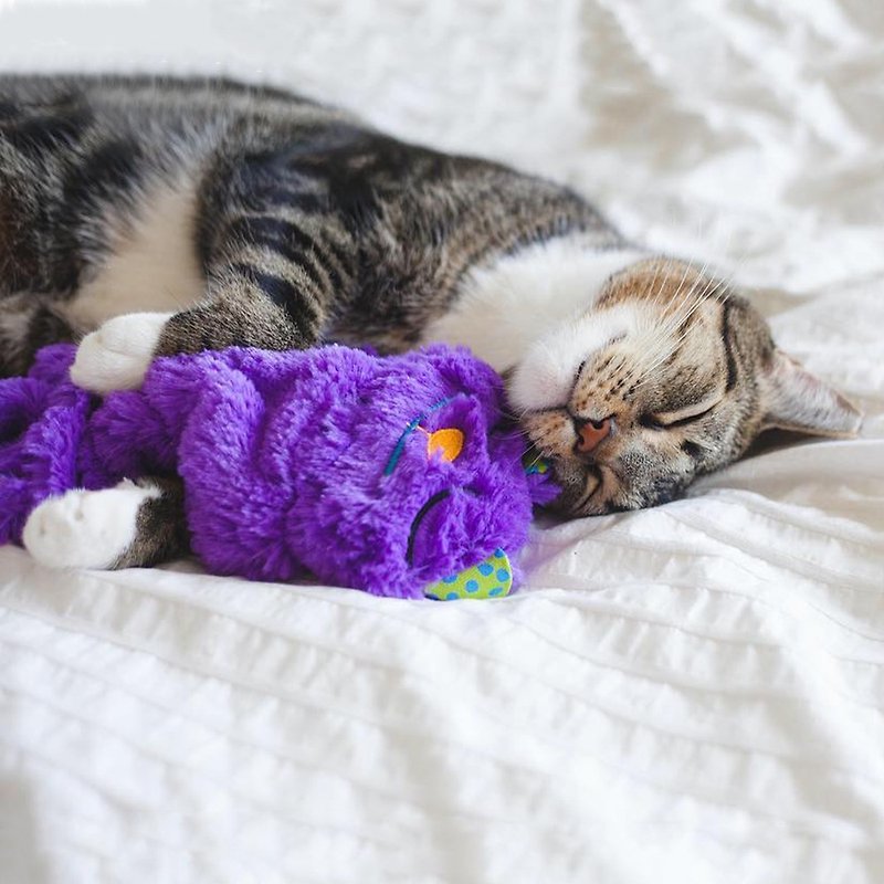 วัสดุอื่นๆ ที่นอนสัตว์ - The cat’s sleeping pillow, the cat’s sleeping pad, and the snoring of the pillow can help the cat to fall asleep.