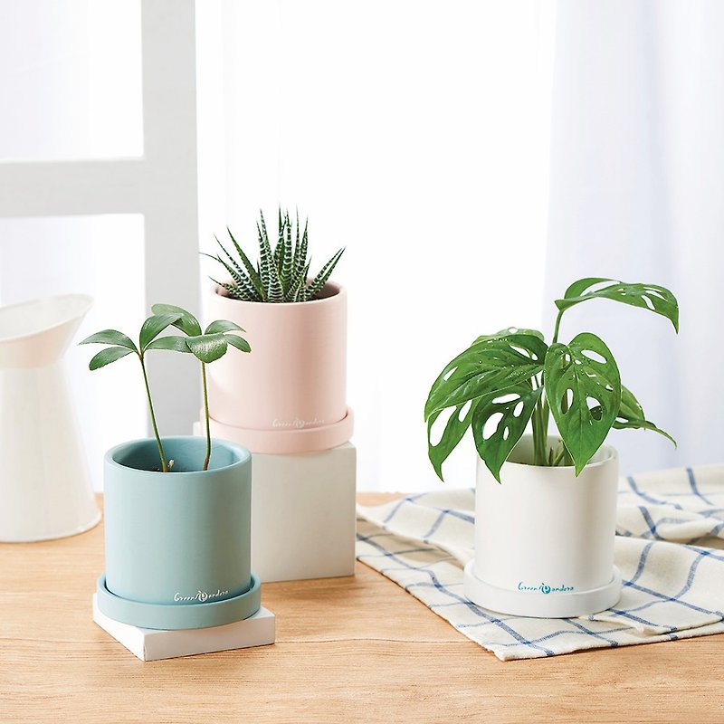 [Gifts for entry] Simple ceramic potted plants / popular net beautiful leaf plants / home office decoration - ตกแต่งต้นไม้ - ดินเผา ขาว