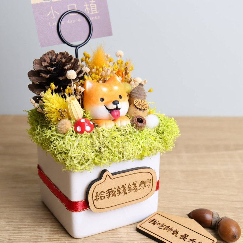 現貨-柴圓滾滾汪 乾燥花名片夾 字牌可客製 生日開幕畢業聖誕禮物 - 名片架/名片座 - 瓷 橘色