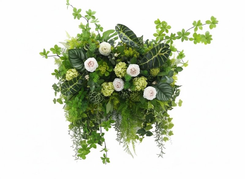 茶花綠植栽橫長生態壁飾 免運專人配送限雙北市 其餘地區需補運費 - 壁貼/牆壁裝飾 - 其他材質 粉紅色