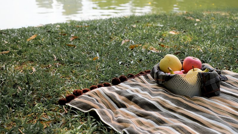ฺBlanket picnic - ฺBoho
