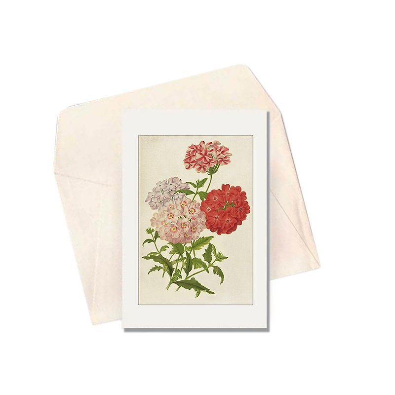 Italian IFI Card Flower Series Hydrangea_BOT9 - การ์ด/โปสการ์ด - กระดาษ 