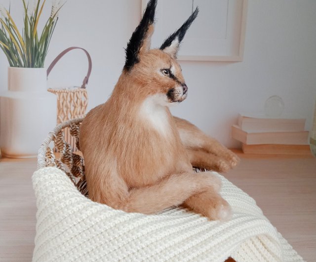 6インチの高さカスタムミニチュアリアルかぎ針編みカラカル