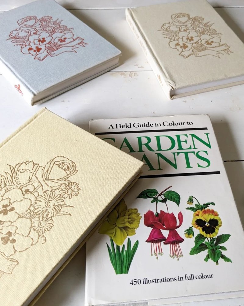 Plant illustrations/illustrations/old books/old books/ancient books/flower art/antiques/old things/foreign books/flowers - หนังสือซีน - กระดาษ ขาว