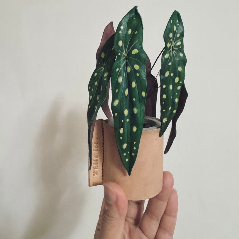 星點秋海棠皮革小品 - 盆栽/植栽 - 真皮 