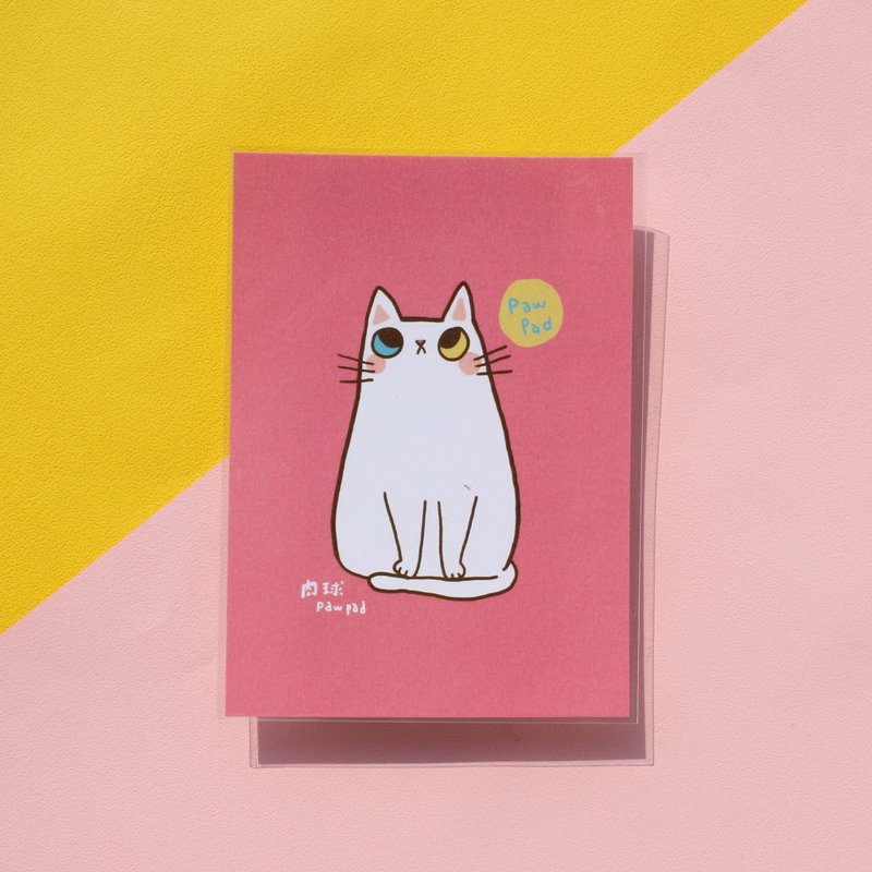 Meatball/Sitting Meat/Postcards/White Cat with Heterochromatic Eyes - Cards & Postcards - Paper 