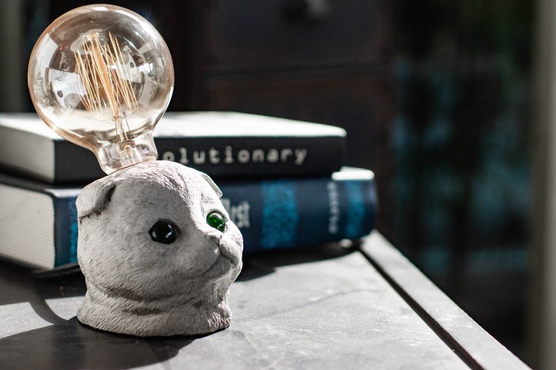 Shu MUSE Folding ear cat Cement table lamp LED lamp tungsten bulb USB lamp ornaments cat hair child - โคมไฟ - ปูน สีเทา
