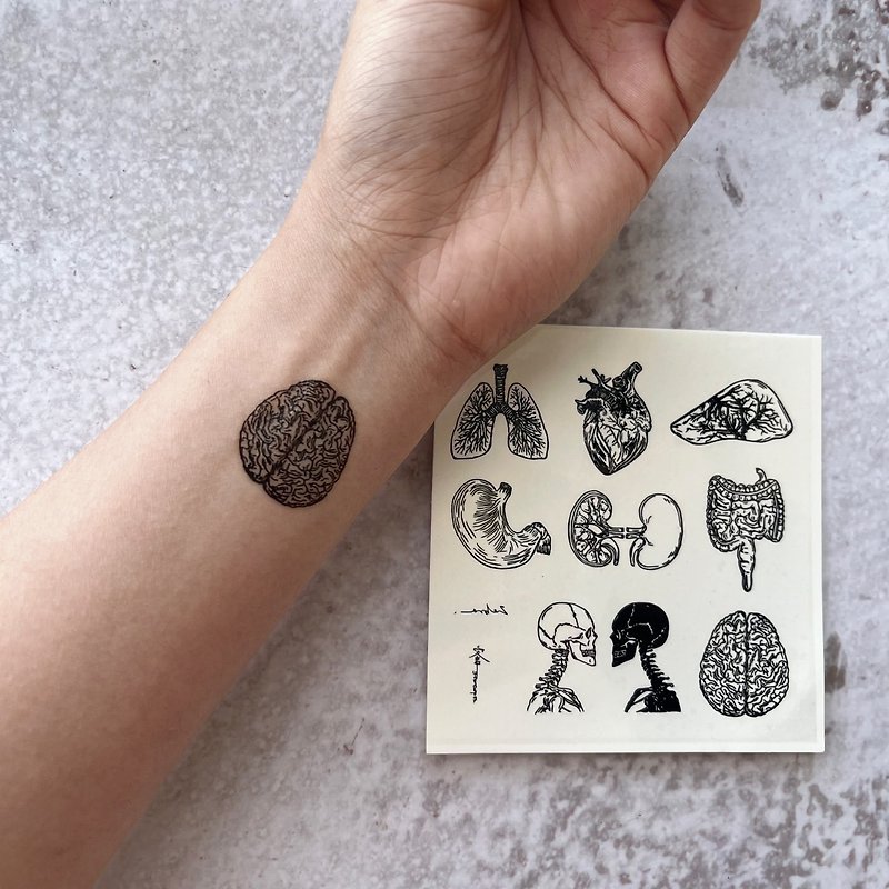 Tattoo Stickers-Internal Organs (Large) - สติ๊กเกอร์แทททู - กระดาษ 