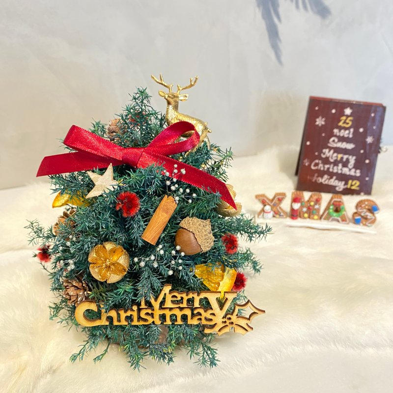 不凋小小聖誕樹 夜燈 附禮盒及電池 - 乾燥花/永生花 - 植物．花 多色