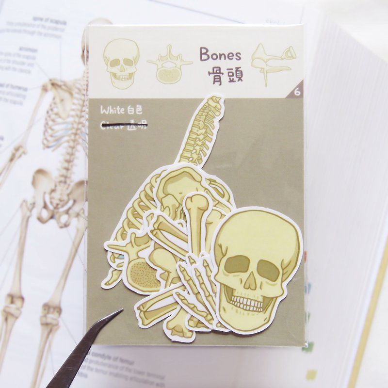 Bones Sticker Set (12pcs) - Stickers - Paper Multicolor